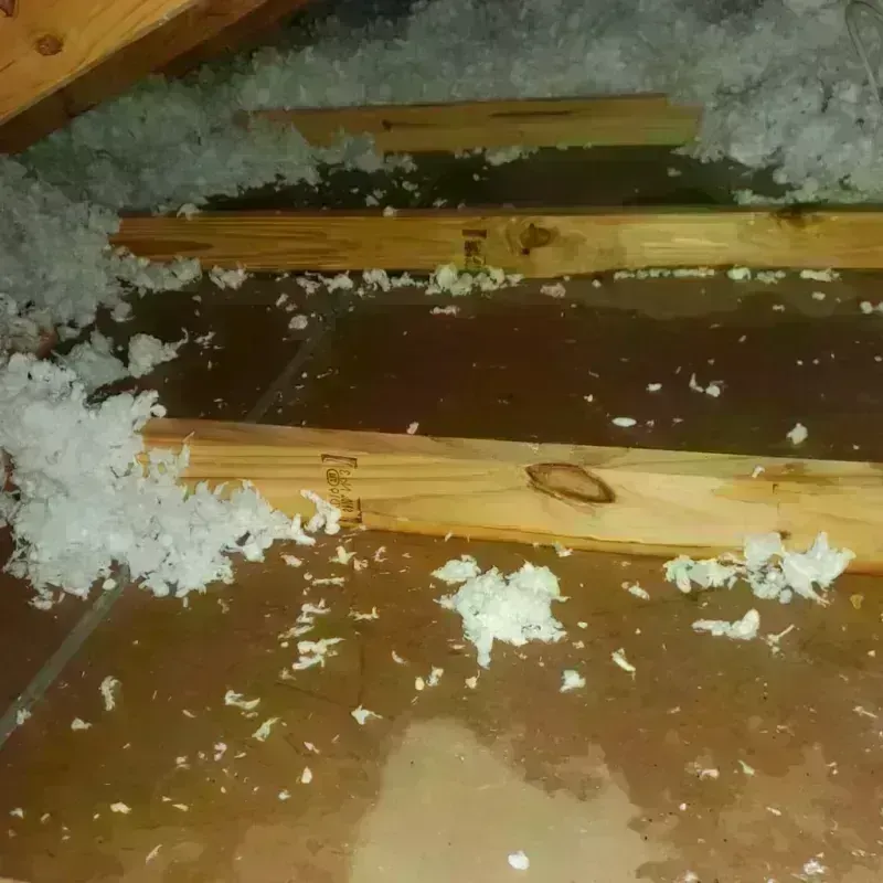 Attic Water Damage in Crittenden, KY